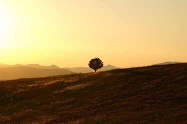 Course Thumbnail